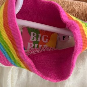 Big Bud Press size P Anniversary rainbow ringer